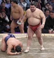 　豊昇龍（右）を小またすくいで破った高安
