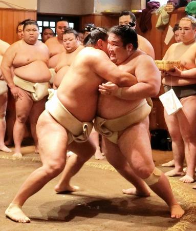 　豊昇龍（左）との稽古で懸命に残す豪ノ山