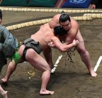 　爽（左）に苦戦する朝阪神（撮影・持木克友）