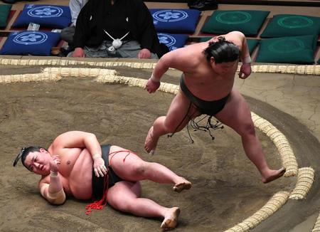 　日翔志（下）を下手投げで破るも勢い余って土俵の下に落ちる伯桜鵬（撮影・持木克友）