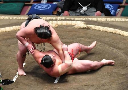 　日翔志（下）を下手投げで破った伯桜鵬（撮影・持木克友）
