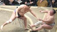 　豊昇龍（左）は押し倒しで北勝富士を下す