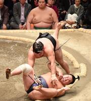 　豊昇龍（手前）を二枚蹴りで破った霧島（撮影・開出牧）