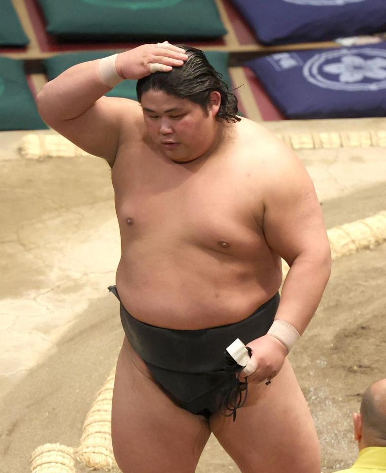 　千代丸を破った伯桜鵬（撮影・金田祐二）