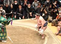 　不戦勝で勝ち名乗りを受ける照ノ富士（撮影・開出牧）