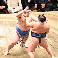 　突っ張りで玉鷲を土俵際へ追い込む大の里（撮影・開出牧）