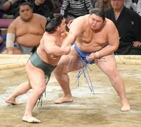 　朝紅龍（左）を押し出しで破り、１１勝３敗とした大の里（撮影・佐藤厚）＝２０２３年