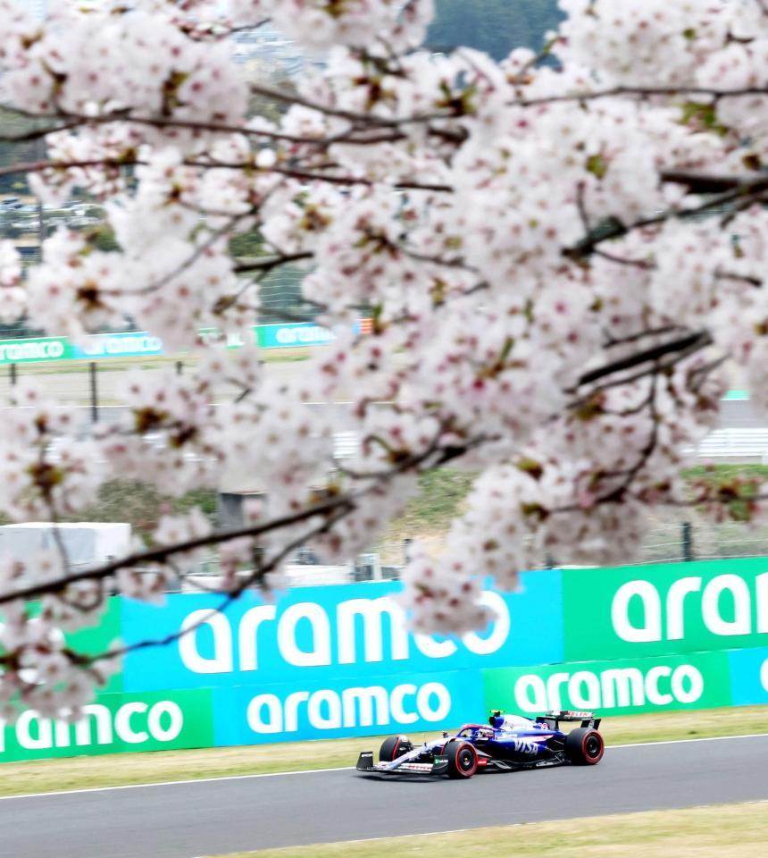 　満開の桜の下、疾走するＲＢの角田裕毅（撮影・神子素慎一）