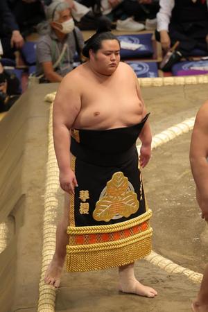大関琴桜が新たな化粧まわしで土俵入り 館内は歓声/スポーツ/デイリー