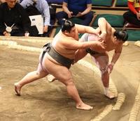 　木曽皇（右）を押し出しで破る嘉陽（撮影・山崎力夫）