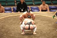 　川副ー津軽海（下）