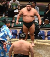 　大奄美を寄り切りで破り初日白星を飾った伯桜鵬（撮影・園田高夫）