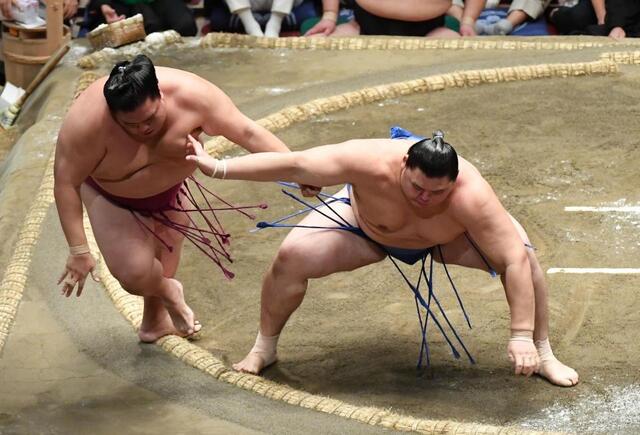 関脇大の里がストレート給金 御嶽海を押し出しで下し初日から８連勝で勝ち越し/スポーツ/デイリースポーツ online