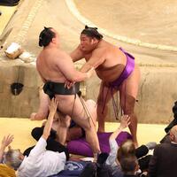 　千代翔馬（左）を寄り切りで破る尊富士