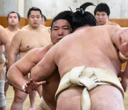 　時津風一門の連合稽古で相撲を取る若元春＝両国国技館の相撲教習所