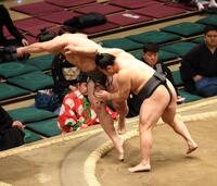 　須山（左）を押し出しで破る炎鵬