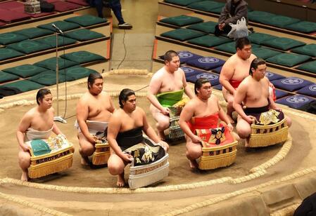 　新序出世披露で土俵に上がった（前列左から）光武蔵、砂坂、天狼星（後列左から）朝河隅、安氣乃山、内海、青木（撮影・中島達哉）
