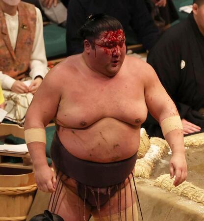 　白熊との取り組み後に頭から血を流す紫雷（撮影・中島達哉）