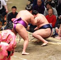 　北の若（右）を押し倒しで破る尊富士（撮影・中島達哉）