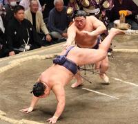 　豊昇龍（左）を突き落としで破る平戸海（撮影・中島達哉）