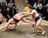 　平戸海（右）が突き落としで豊昇龍を破る