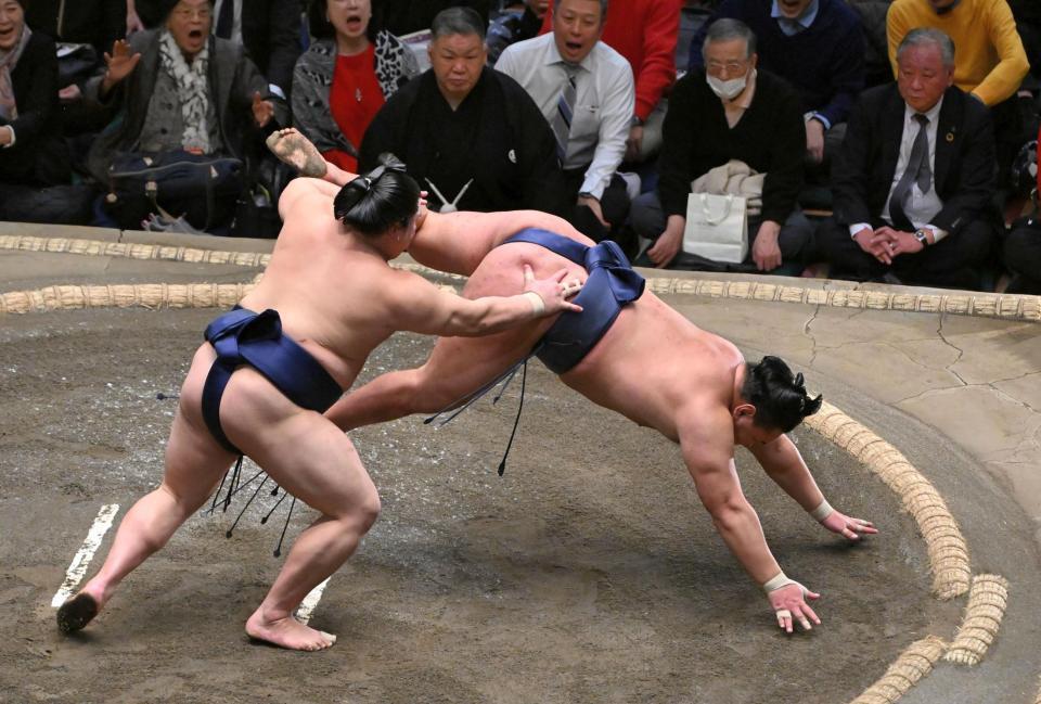 　平戸海（左）は豊昇龍を突き落としで破る