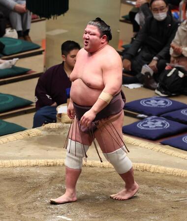 　栃大海を寄り切りで破った紫雷（撮影・中島達哉）