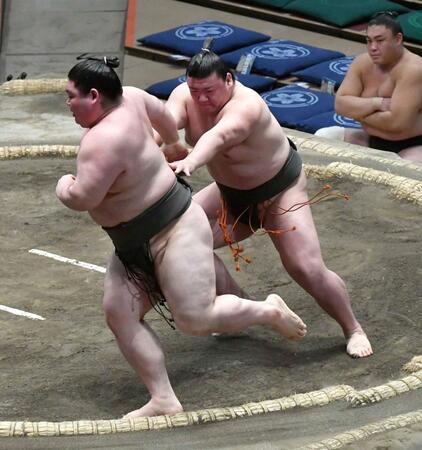 　阿龍（左）を送り出しで破った夢道鵬（撮影・持木克友）