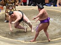 　尊富士（右）に突き落としで敗れる琴桜