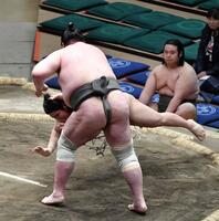 　矢後にはたき込みで敗れた関本（撮影・持木克友）