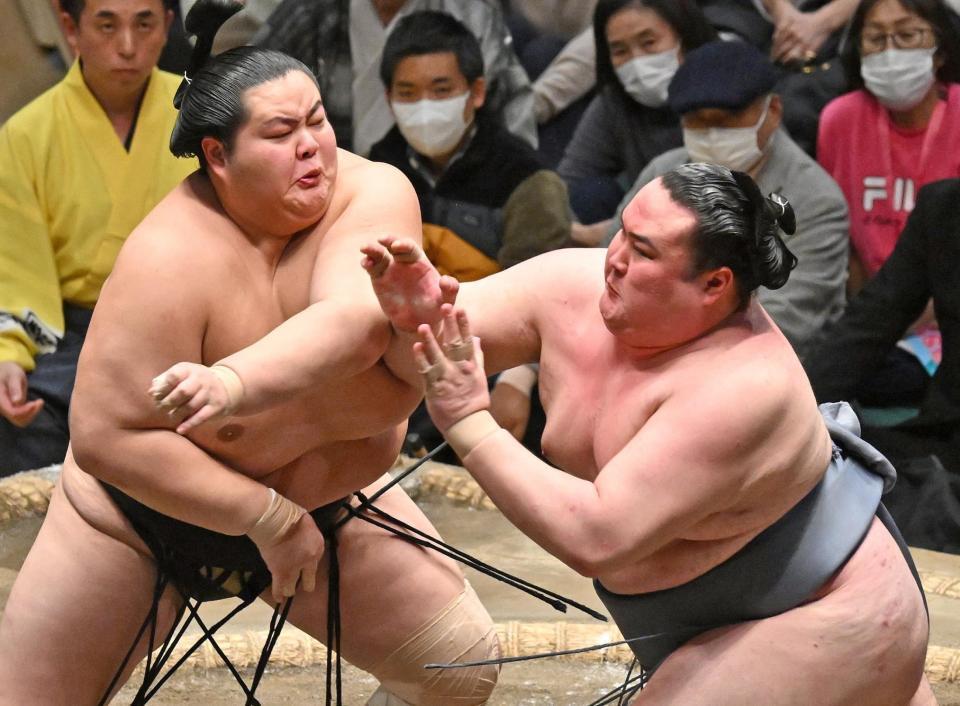 　琴桜を攻める金峰山（右）