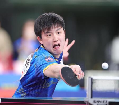 ストレート勝ちで準決勝進出を決めた張本智和（撮影・金田祐二）