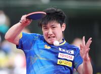 ストレート勝ちで準決勝進出を決めた張本智和（撮影・金田祐二）