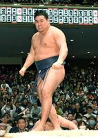 　ともえ戦で金峰山、王鵬に連勝し雄叫びを上げる豊昇龍