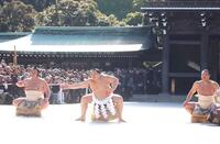 　横綱に昇進し、奉納土俵入りを行う朝青龍＝０３年１月３１日