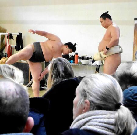 豊昇龍　豊昇龍が軽めの稽古で汗　体重は１５０キロをキープ「動けるのが大事」