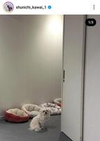 川合俊一氏のインスタグラム（＠ｓｈｕｎｉｃｈｉ＿ｋａｗａｉ＿１）から