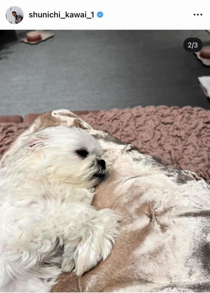 川合俊一氏のインスタグラム（＠ｓｈｕｎｉｃｈｉ＿ｋａｗａｉ＿１）から