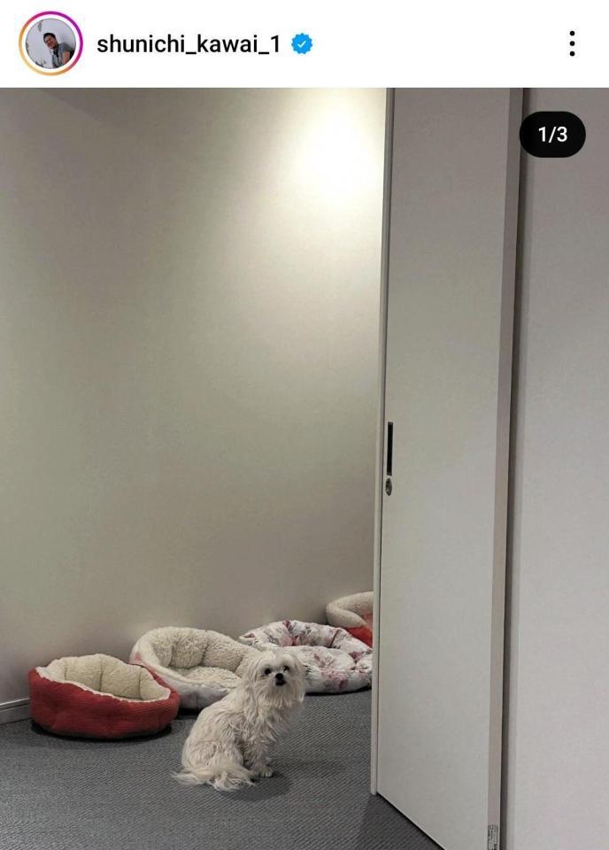 川合俊一氏のインスタグラム（＠ｓｈｕｎｉｃｈｉ＿ｋａｗａｉ＿１）から