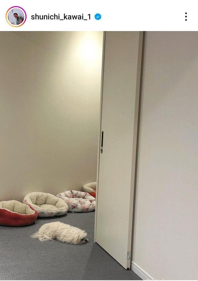 川合俊一氏のインスタグラム（＠ｓｈｕｎｉｃｈｉ＿ｋａｗａｉ＿１）から