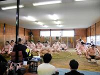 　１２人の関取が集結して稽古を行った佐渡ケ嶽部屋