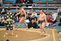　欧山田に押し出しで勝った炎鵬（右）＝撮影・金居みつよし