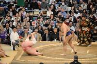 　宇良をはたき込みで破った高安（撮影・金居みつよし）