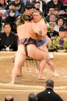 　霧島を押し出しで下した大の里（撮影・金居みつよし）