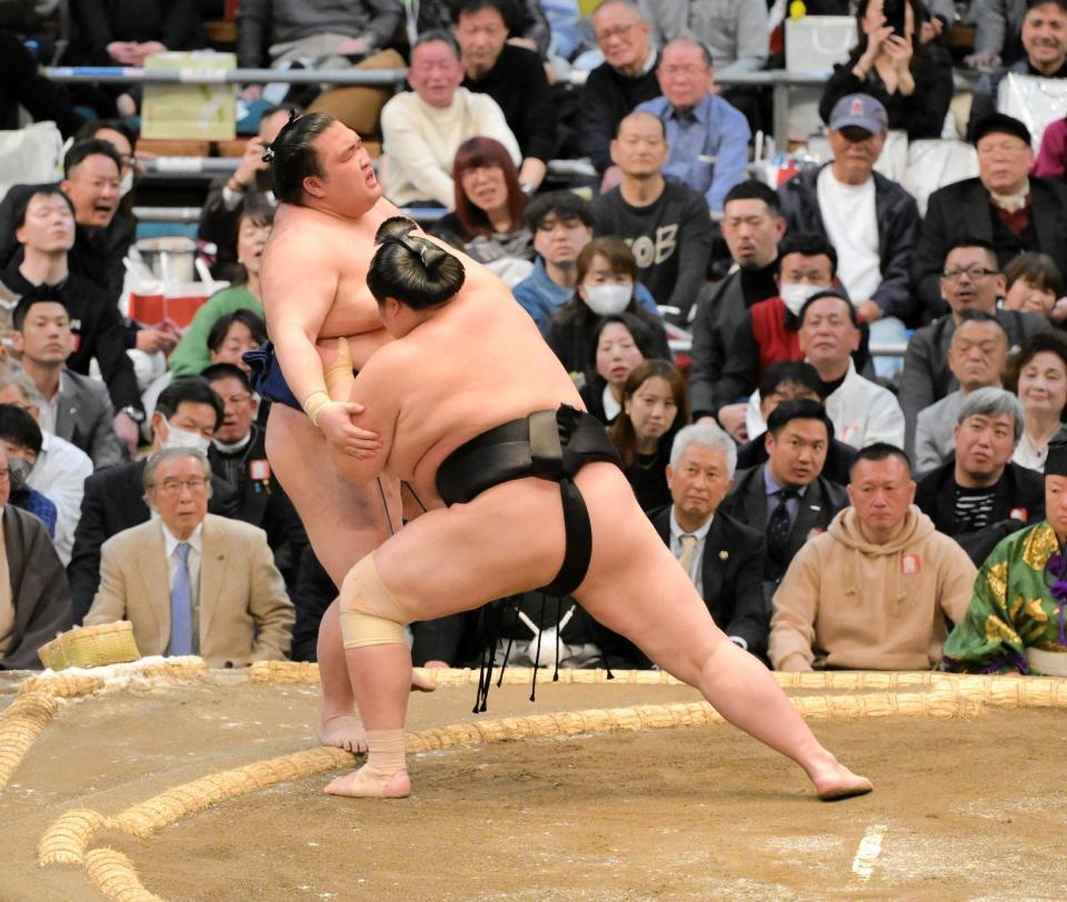 　豪ノ山を寄り切りで下した琴桜（撮影・金居みつよし）