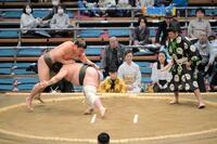 　藤闘志をたたき込みで下した若隆元（撮影・金居みつよし）