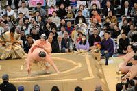 　隆の勝をとったりで下した宇良（撮影・金居みつよし）