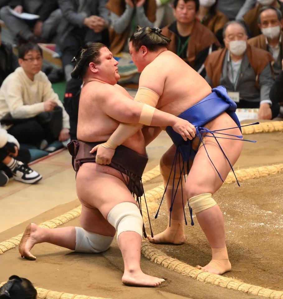 　欧勝海（右）に寄り切りで敗れた紫雷（撮影・西田忠信）