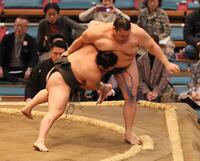 　北天海（右）を寄り切りで破る炎鵬（撮影・石井剣太郎）