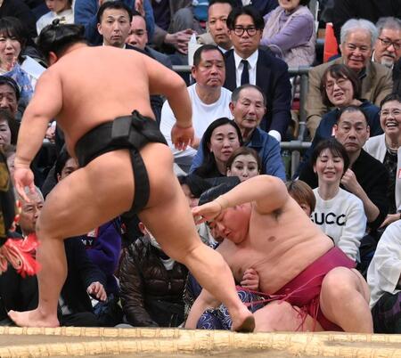 　伯桜鵬（左）に寄り切りで敗れた遠藤（撮影・西田忠信）